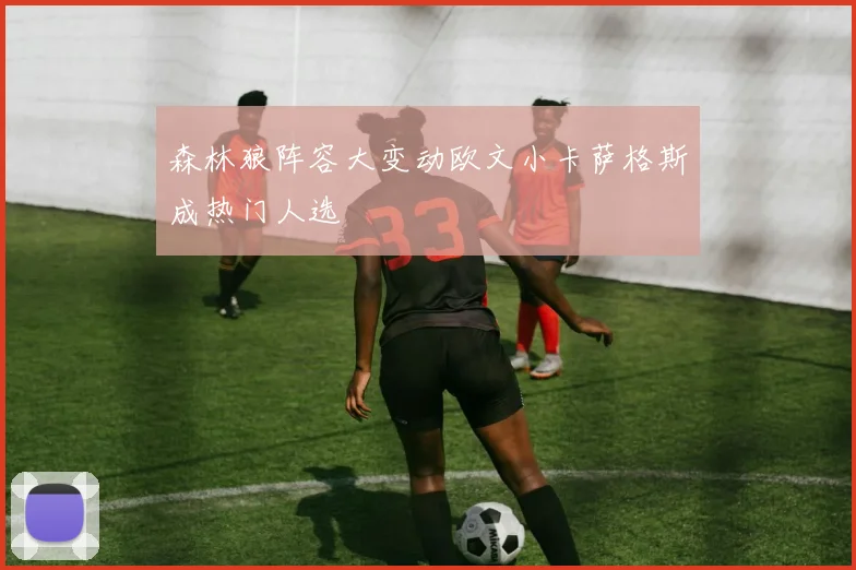 森林狼阵容大变动欧文小卡萨格斯成热门人选
